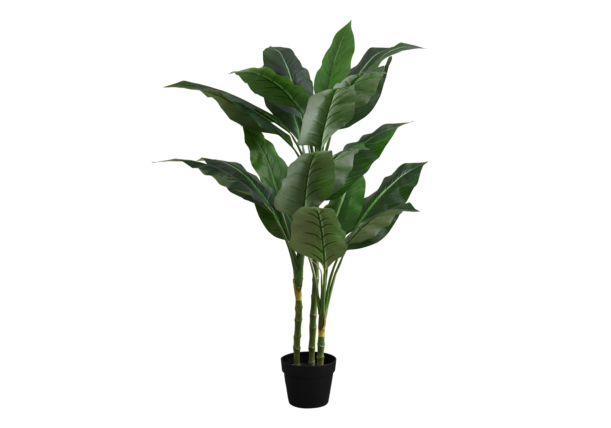 ARTIFICIAL PLANT - 42"H / INDOOR EVERGREEN IN A 5" POT